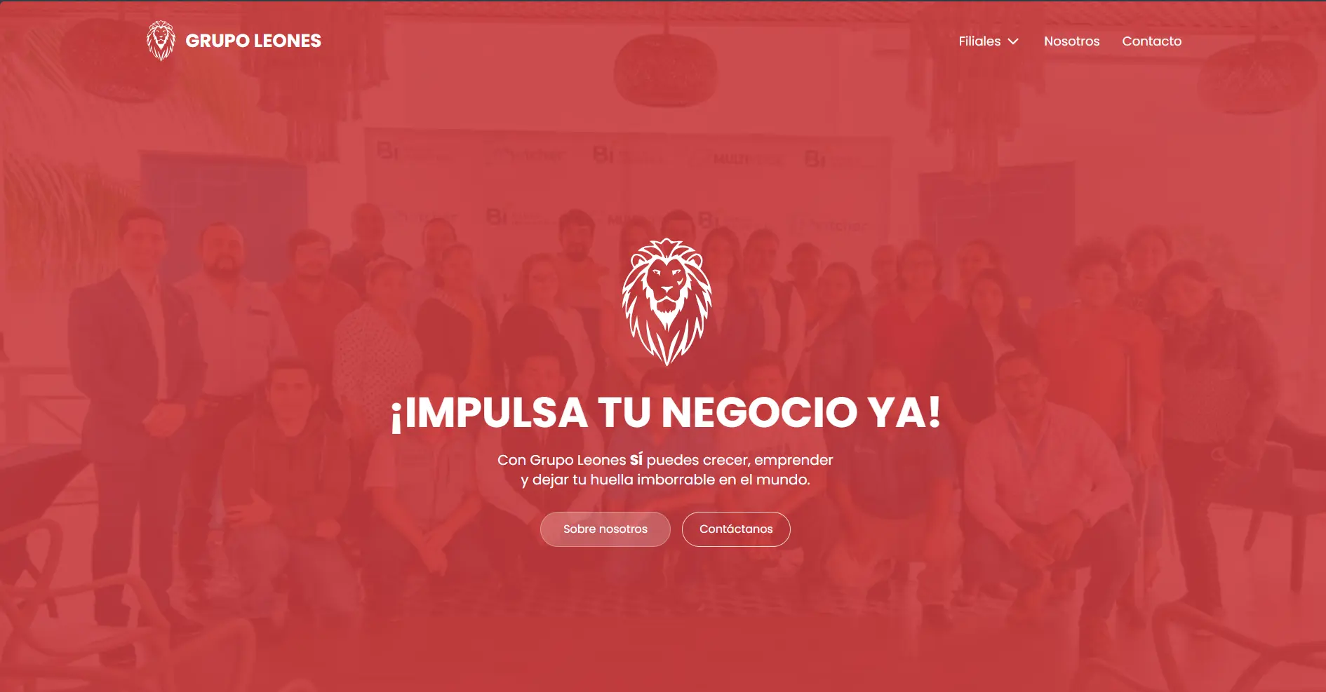 Captura de pantalla de Grupos Leones